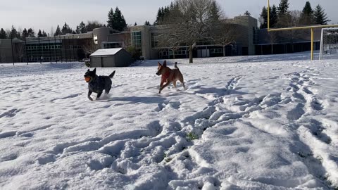 snow patrol 2109382109832