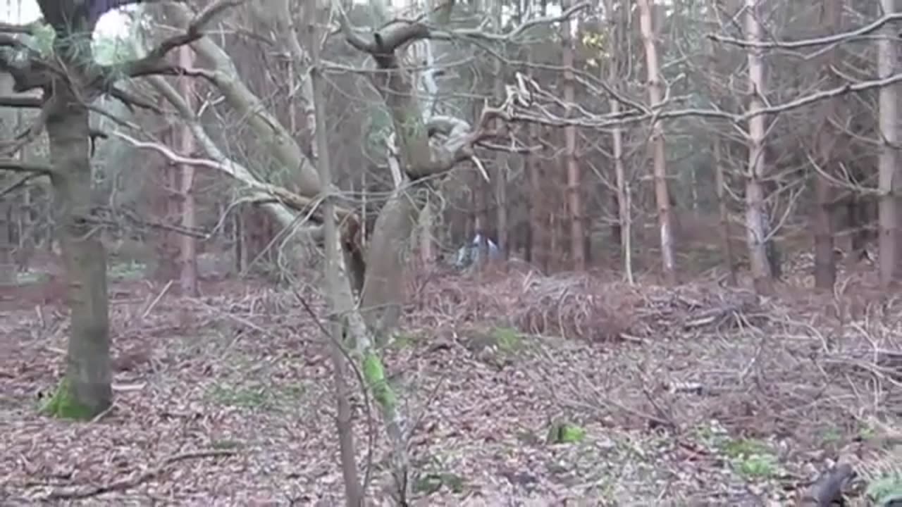 🛸🤯 Britain's Roswell: Rendlesham Forest UFO! | TheTruthAbove