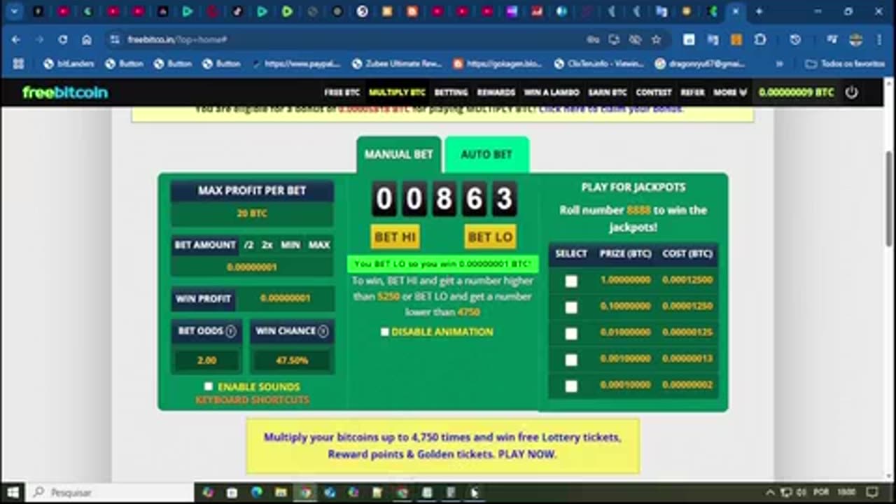 as minhas apostas na freebitcoion completo