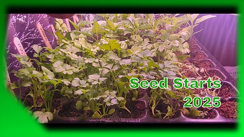Greg's update on starting seeds to plant for 2025