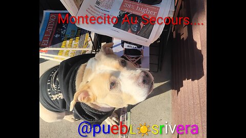 Appel de détresse depuis Montecito au secours