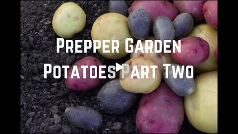 Prepper Garden: Grow Potatoes Part Two