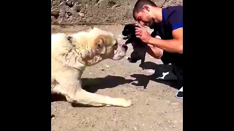 So puppin qute 🥰 Puppy love