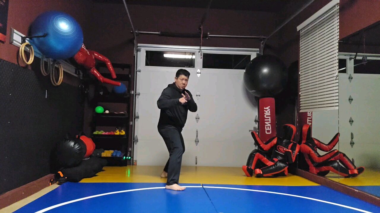 WTD Sliding Wheelkick to Hook Kick sequential