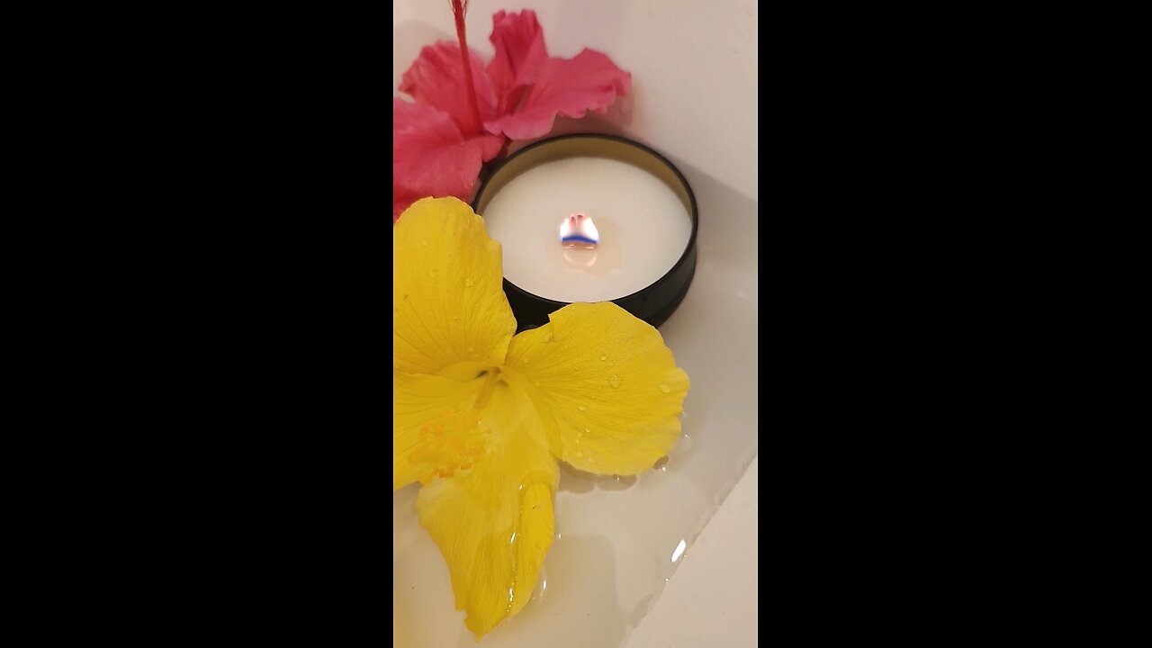 Japanese Cherry Blossom