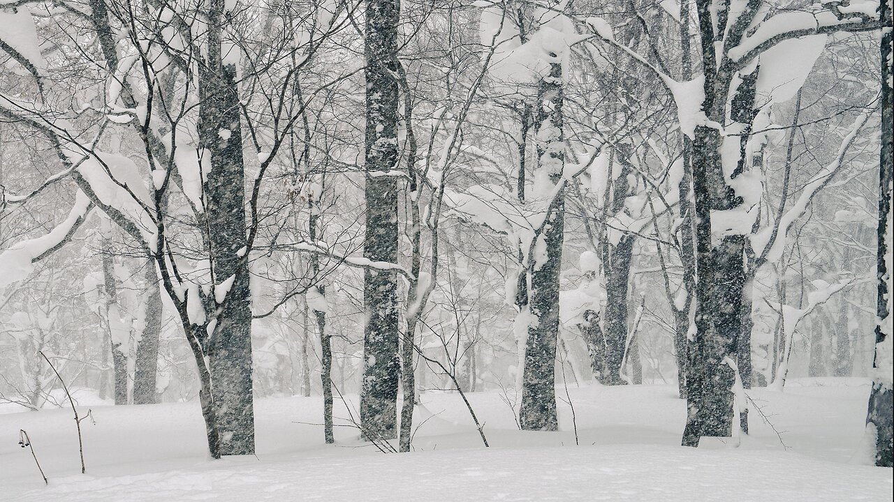 The sound of a snowstorm in the middle of winter. The sound of nature.