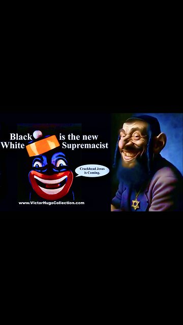 Black Privilege On Full Display In The JewSA Remember Jews Are The Victim Here All Whites Are Racist