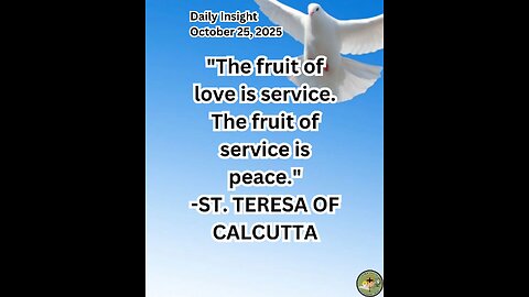 Daily Insight October 25, 2025 #faith #saint #insight