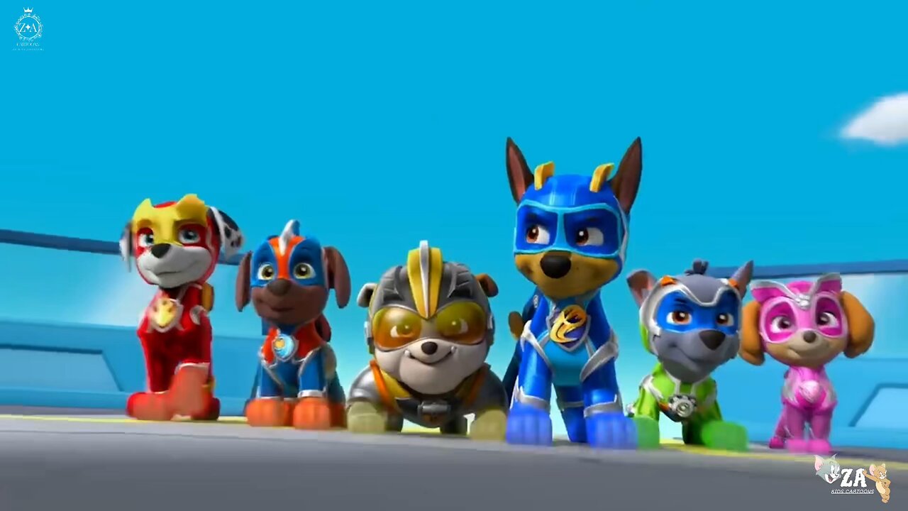 PAW Patrol Cartoons
