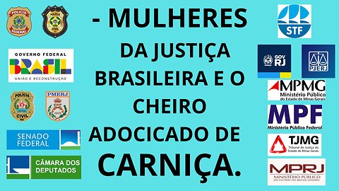 MULHERES DA JUSTIÇA BRASILEIRA E O CHEIRO ADOCICADO DE CARNIÇA.