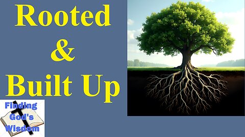 Rooted & Built Up - Colossians 2:6-8