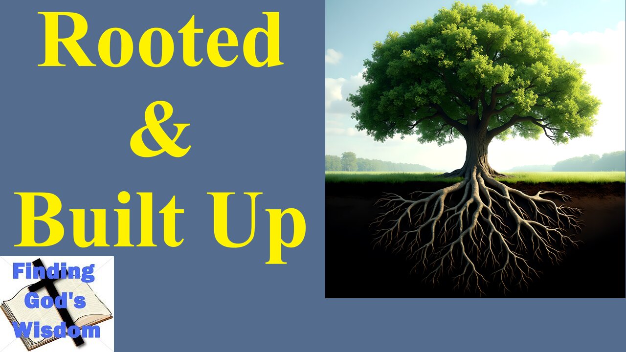 Rooted & Built Up - Colossians 2:6-8