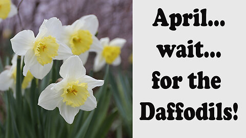 HAS APRIL FOOL'S COME EARLY! - NO! WAIT FOR THE DAFFODILS... READING FOR APRIL - 21 March 2025