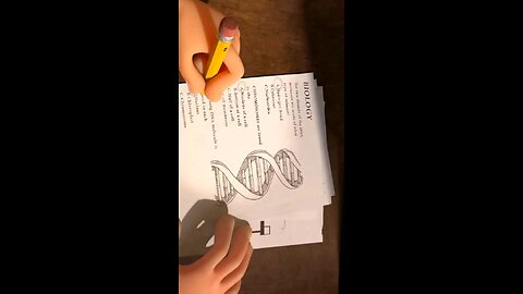exam