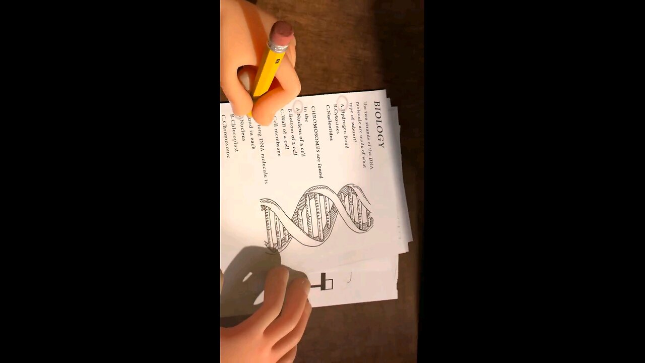 exam