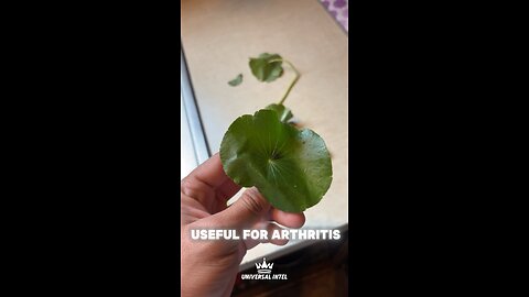 Dollarweeds benefit