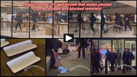 Downtown Los Angeles: Angry mob tries to rob Apple store