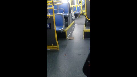 Empty buses, what happen to the perps. NY Predators Dept officers across the street.