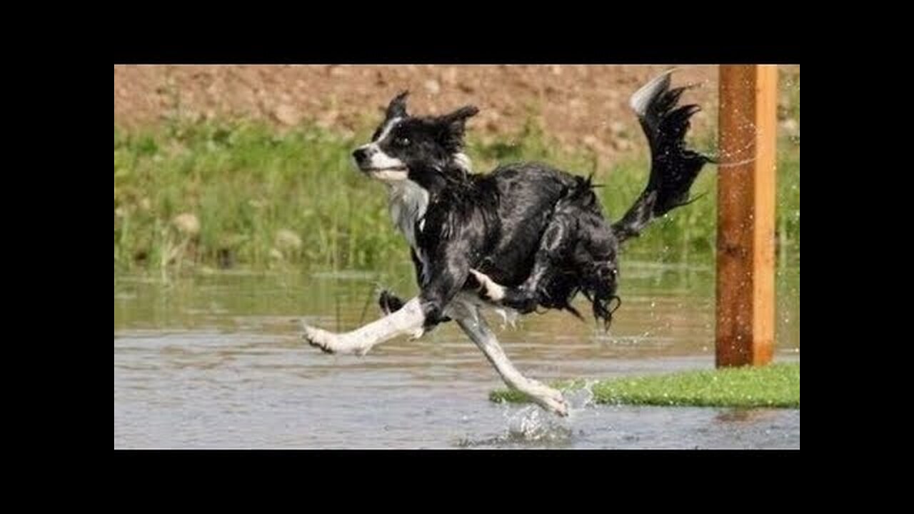 SO FUNNY you will NEVER FORGET WHAT YOU WATCHED! - Funny FAIL VIDEOS compilation