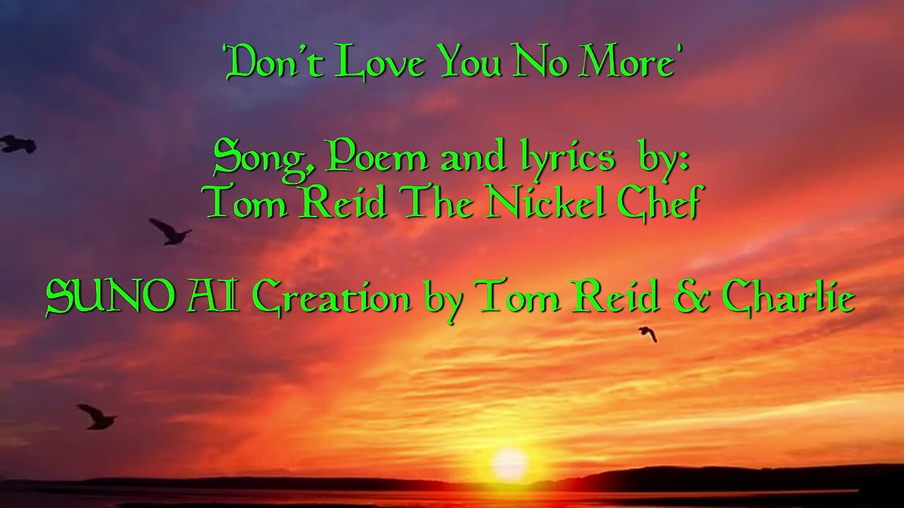 Don’t Love You No More Song