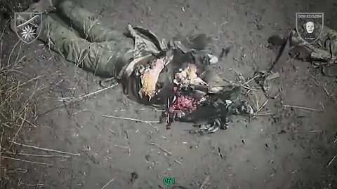Ukrainian Drones Pulverize Russian Fascists into Meat on Lyman Front