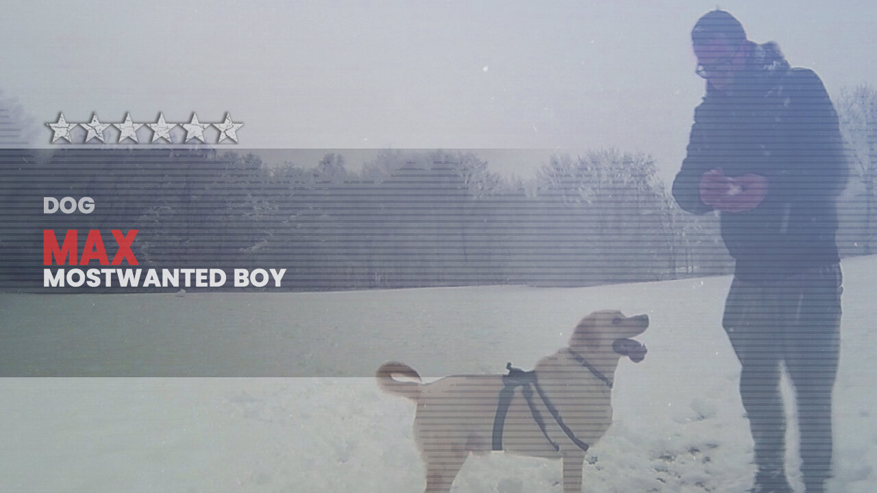 MostWantedBoy | Max #2