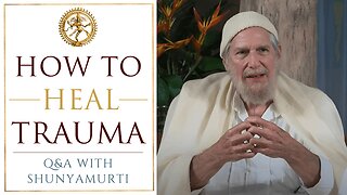 The Power of the Witness | Q&A with Shunyamurti