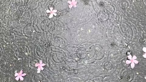 Relaxing nature view and rain sound