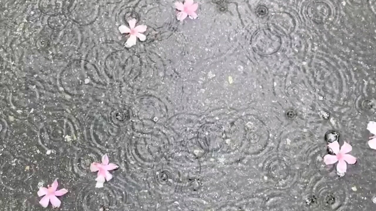 Relaxing nature view and rain sound