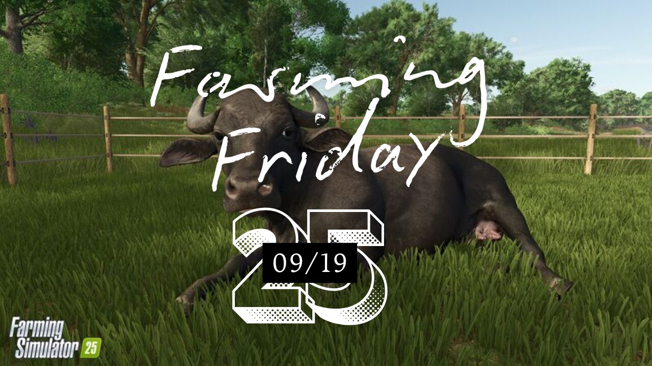Oat Odyssey Frenzy 💸🌾