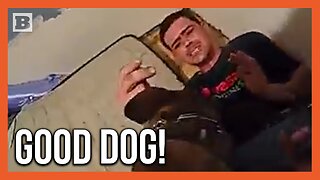 "He's Ripping My Arm Off!" K9 Finds Suspect Hidden Between Mattresses