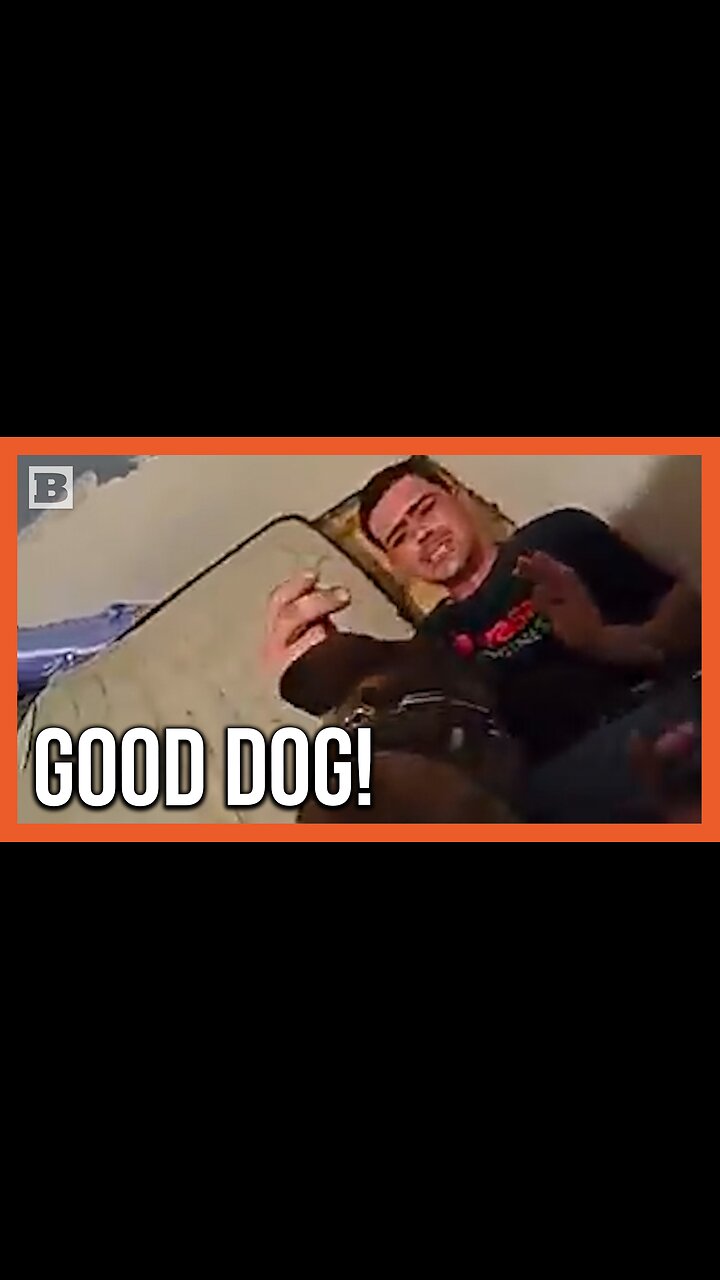 "Hes Ripping My Arm Off!" K9 Finds Suspect Hidden Between Mattresses