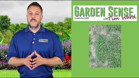 Garden Sense with Tim Ward - 09.03.25