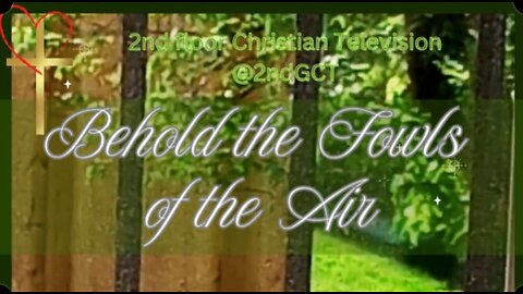 Behold the Fowls of the Air The Lord Provides Inspirational Scripture Matthew 6:26 #kjv