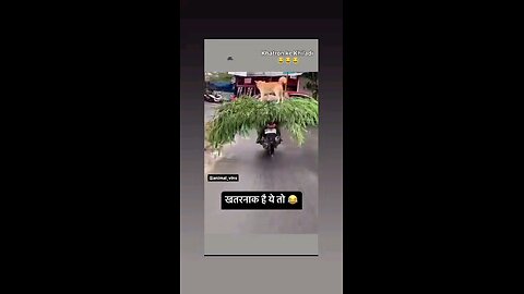 धीरे चला ले भाई