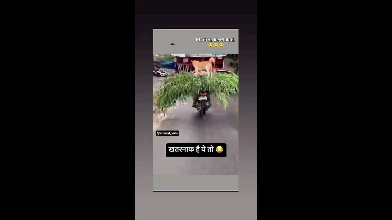 धीरे चला ले भाई