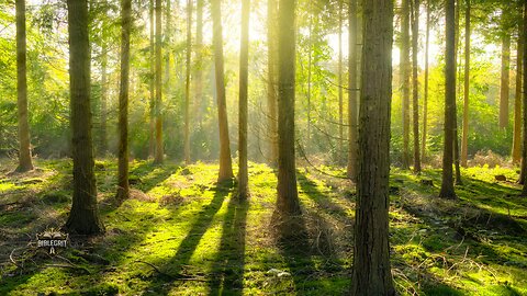 The Weight I Wasn’t Made to Hold | Original Christian Worship Song | BibleGrit