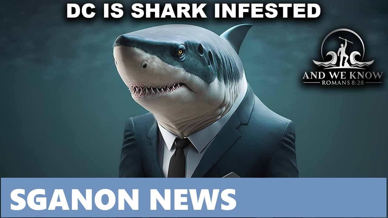 AND.WE.KNOW.8.11.25: D.C. filled with SHARKS... SGANON NEWS
