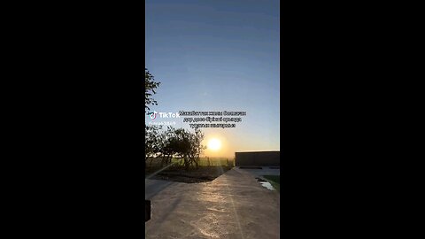 Find beauty in the little things 🌿💫 #asmr #aesthetic #relax #vibes #satisfying #viral #reels