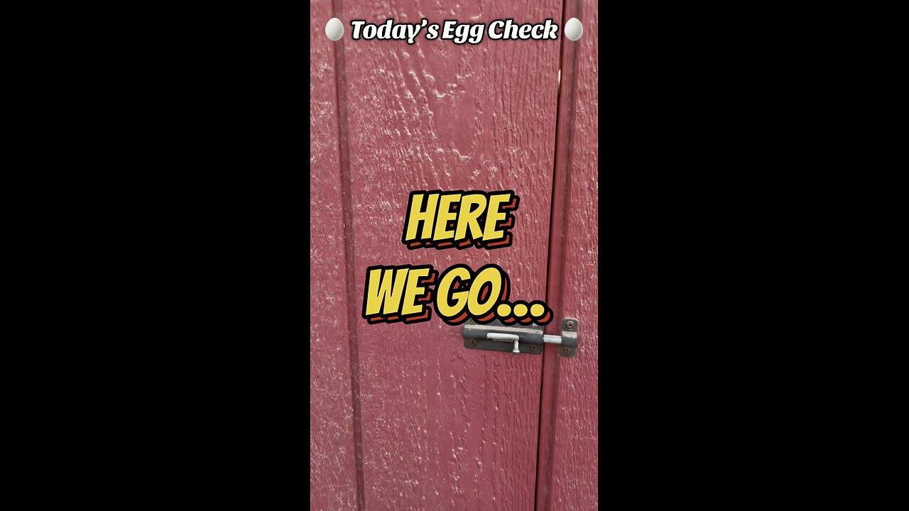 🥚 Today’s Egg Check! 🥚 #shorts
