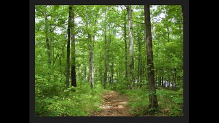 THE PATH