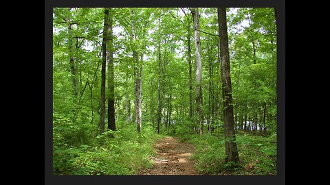 THE PATH