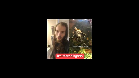 #turtleridesfish #funnyvideos #videostoenjoy #naturevideos #turtlevideos