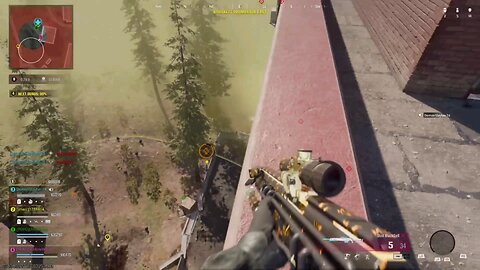 Warzone Shenanigans