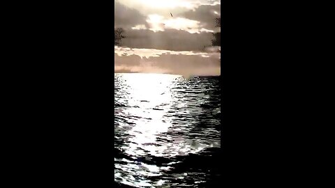 The Lake