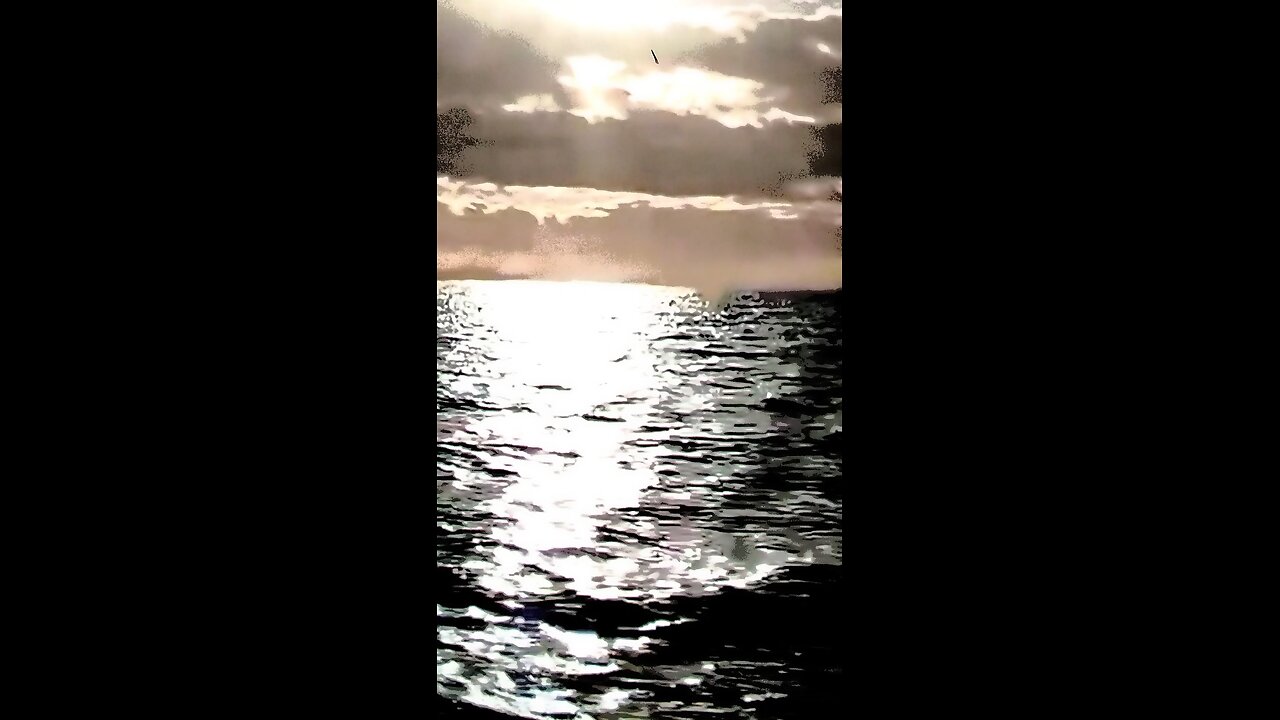 The Lake