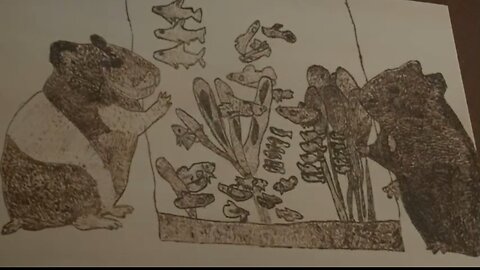 Watch Me Wood Burn Hamsters by a fish tank