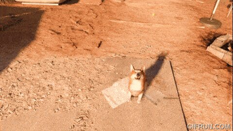 PastorShadilay plays Arizona Sunshine 2