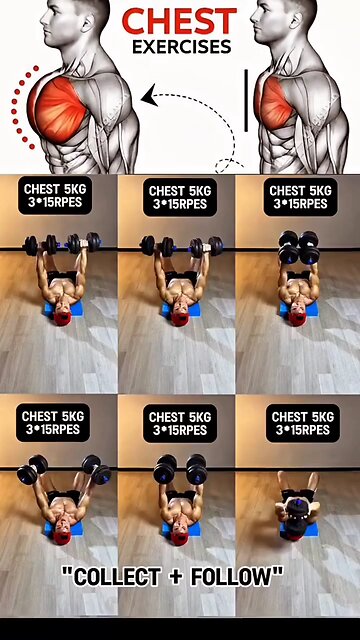 Gym Workout And Nutritional Program