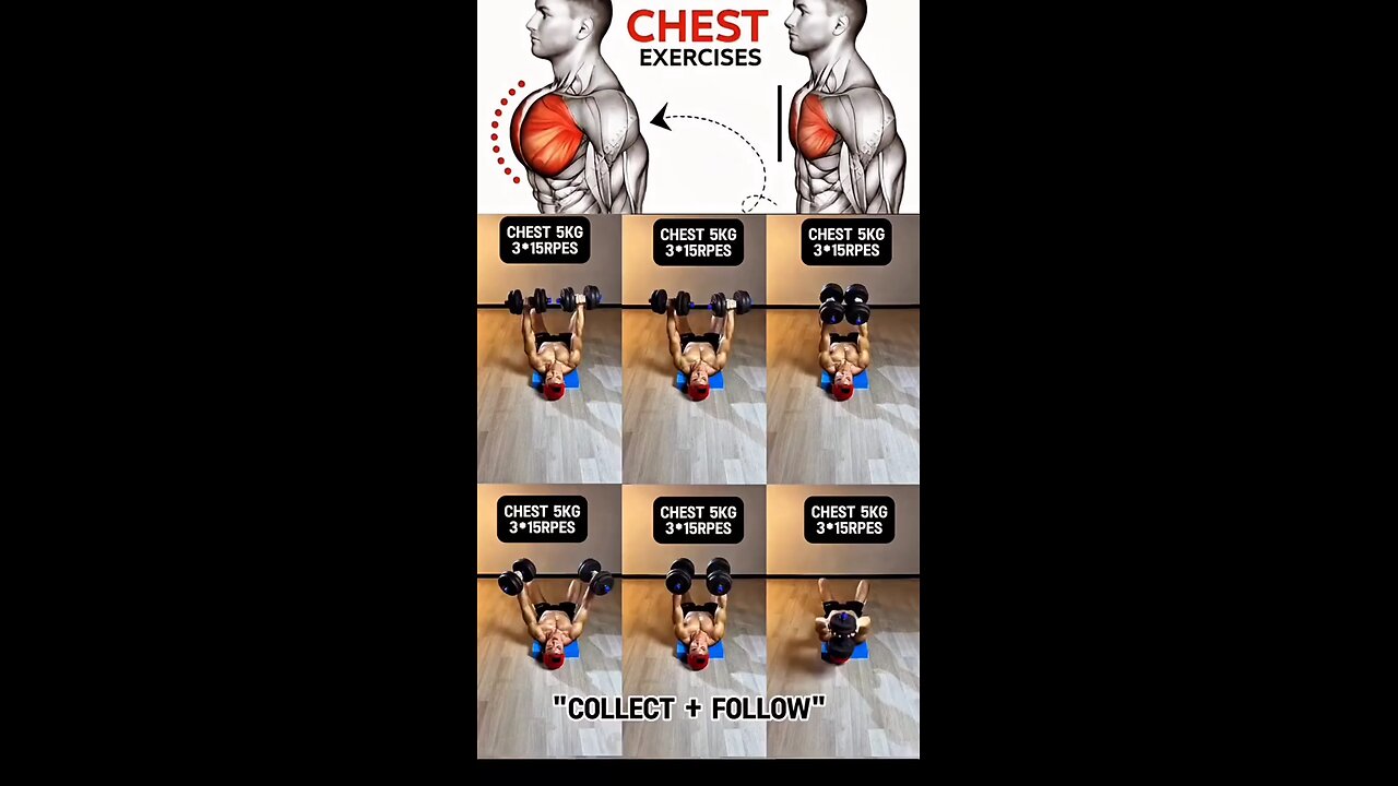 Gym Workout And Nutritional Program